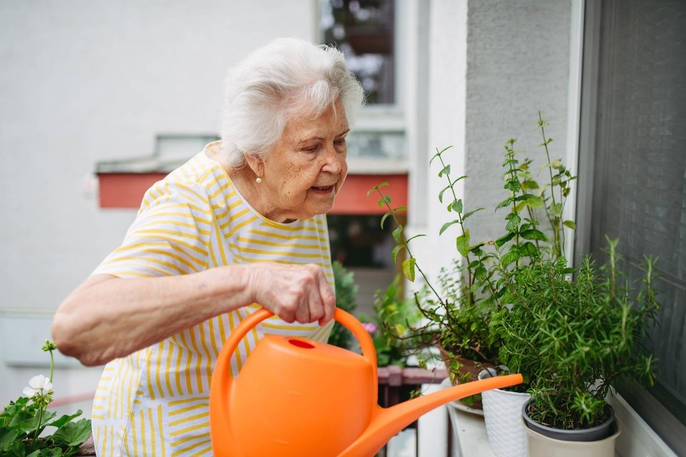 Pajke privlačijo toplejša okolja, zato jih boste pogosto našli skrite v prijetnih kotičkih svojega doma. Ker imamo v toplejšem vremenu …
