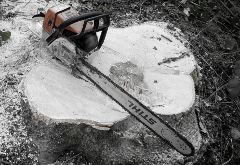 Huda delovna nesreča: 44-letnika ob steno stisnilo odžagano drevo