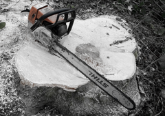 Huda delovna nesreča: 44-letnika ob steno stisnilo odžagano drevo