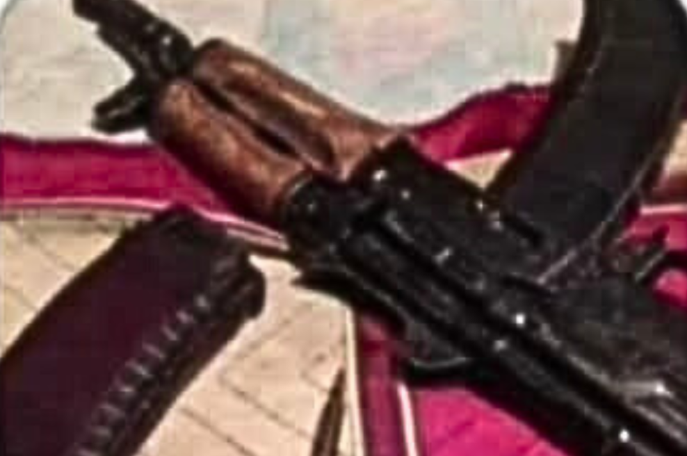 Pred protestnim shodom v Novem mestu na spletu grožnje s strelnim orožjem: "Vas je 250, meni manjka 20 nabojev ... " (foto: Facebook)