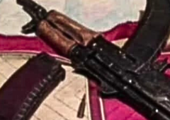 Pred protestnim shodom v Novem mestu na spletu grožnje s strelnim orožjem: "Vas je 250, meni manjka 20 nabojev ... "