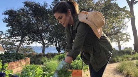 Načini, kako zaužiti več sadja in zelenjave