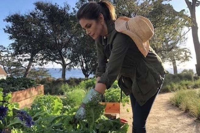 Načini, kako zaužiti več sadja in zelenjave