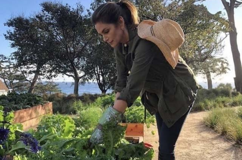 Je popolna zamenjava za ocvrt krompirček in ima dvakrat več vlaknin kot korenje (to bo postala vaša najljubša priloga) (foto: Profimedia)