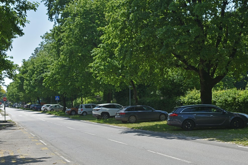 Slovenec ogorčen nad splošnim početjem pri parkiranju: "Zakaj toliko ljudi ..." (foto: Bobo)