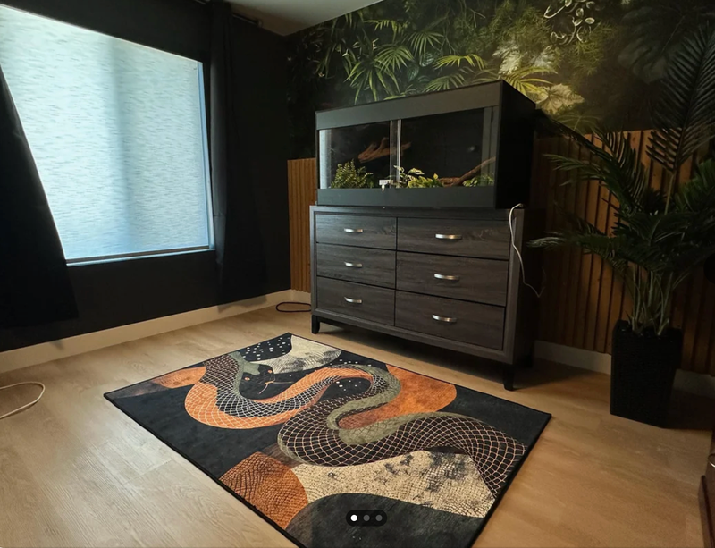 Moški preuredil sobo v novi hiši: ob vstopu vanjo nič hudega slutečega obiskovalca spreleti srh