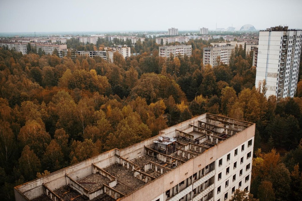 Znanstveniki so popolnoma zmedeni: kaj takega na območju Černobila še niso videli (FOTO) (foto: Profimedia)