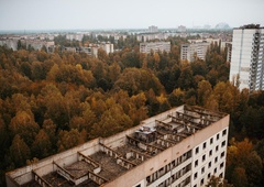 Znanstveniki so popolnoma zmedeni: kaj takega na območju Černobila še niso videli (FOTO)