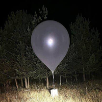 Prekipelo jim je: Litva se je zaradi incidentov z baloni odločila za drastičen ukrep