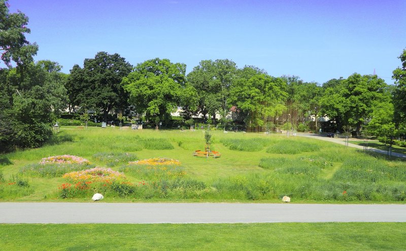 Travniško pokopališče na Dunaju