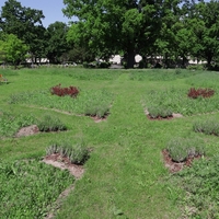 Travniško pokopališče na Dunaju