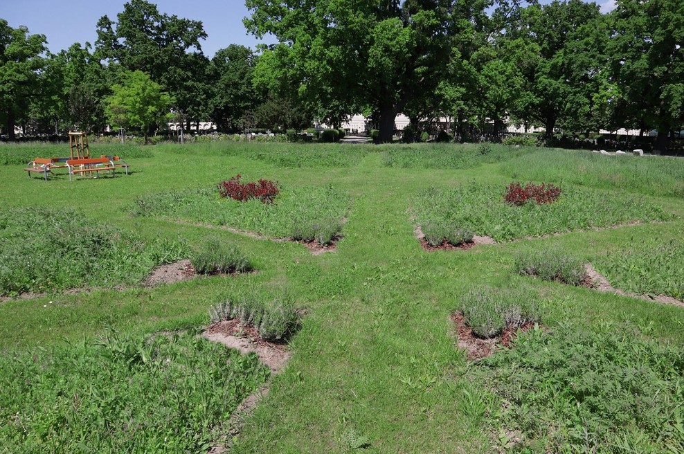 Drugačno pokopališče na Dunaju: praksa, po kateri se gre zgledovati (foto: Friedhöfe Wien)