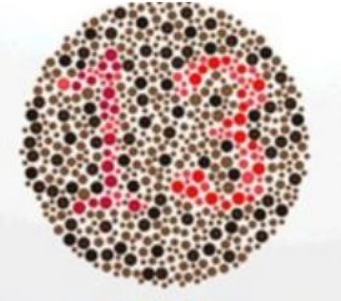 Številka 13 Imate nekoliko negativno življenjsko naravnanost. Pogosto najprej opazite slabo plat stvari in vas zlahka prevzame strah ali skrb. …