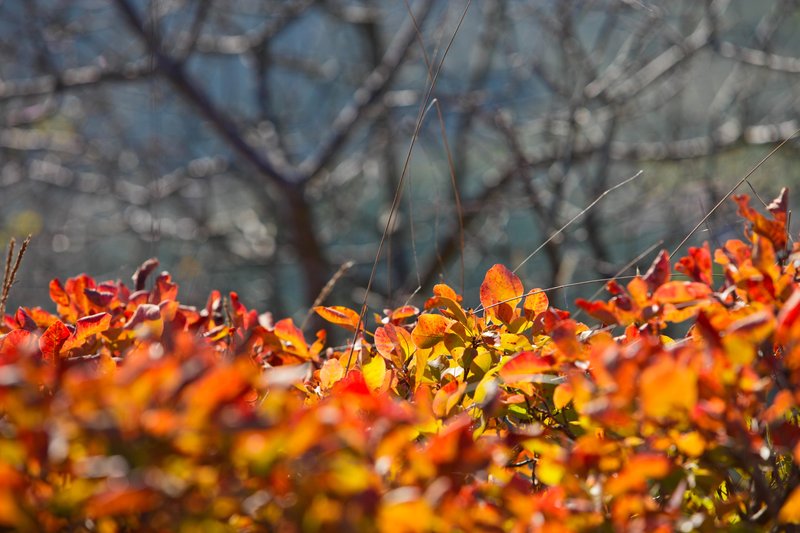 vreme, november, jesen