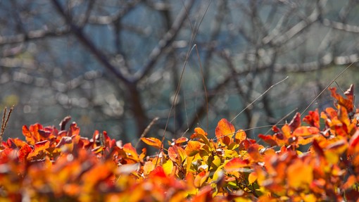 Znano je, kakšno bo vreme v začetku naslednjega tedna