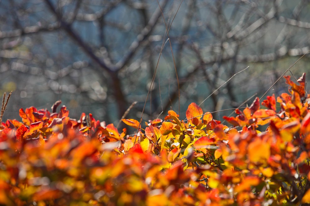 Znano je, kakšno bo vreme v začetku naslednjega tedna (foto: Srdjan Živulovič/Bobo)