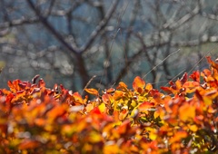 Znano je, kakšno bo vreme v začetku naslednjega tedna