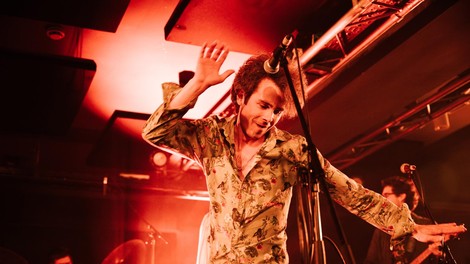 Jure Lesar Krila ptice