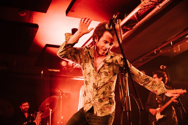 Jure Lesar Krila ptice