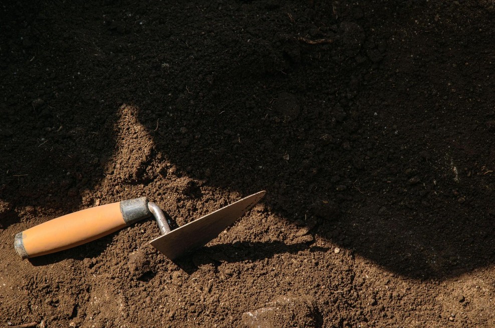 Arheologi našli 1600 let star zob, po analizi pa obnemeli: kar so ugotovili, spreminja zgodovino krščanstva (foto: Profimedia)