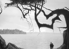 Kaj najprej opazite na sliki? Optična iluzija, ki razkriva vaš način razmišljanja