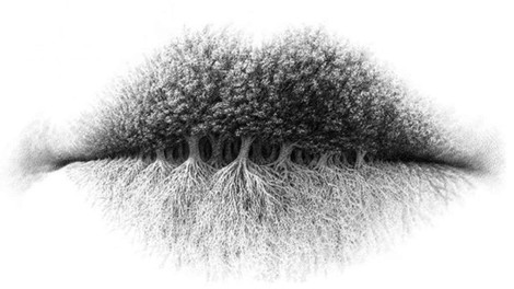 Kaj najprej opazite na sliki? Optična iluzija, ki razkriva vaš idealni poklic