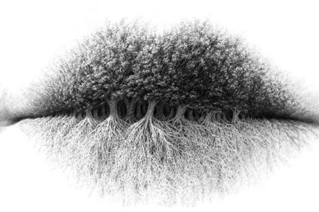 Kaj najprej opazite na sliki? Optična iluzija, ki razkriva vaš idealni poklic