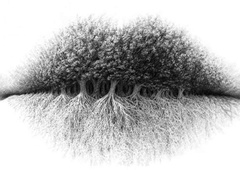 Kaj najprej opazite na sliki? Optična iluzija, ki razkriva vaš idealni poklic