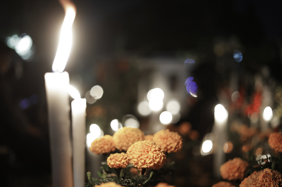 Na silvestrovo umrla ena najbolj priljubljenih osebnosti na družbenih omrežjih (foto: Profimedia)