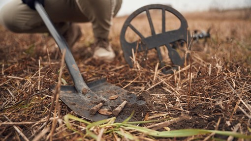 Detektor kovin zapiskal, moški na polju obstal kot vkopan: arheologi skakali v zrak od navdušenja, ko so videli, kaj je našel