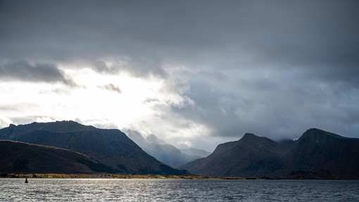 Znanstveniki raziskovali v ledenih vodah in obnemeli: ta žival ima nekaj, kar bi ljudem lahko pomagalo živeti do 200 let!
