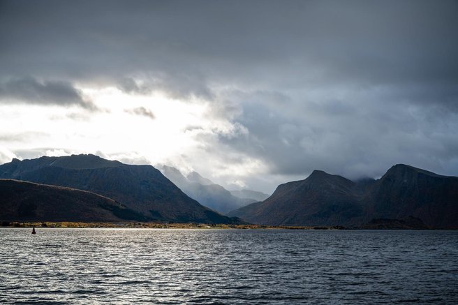 ledeno morje arktika grenlandski kit starost dolgozivje leta zivljenje znanost morje voda