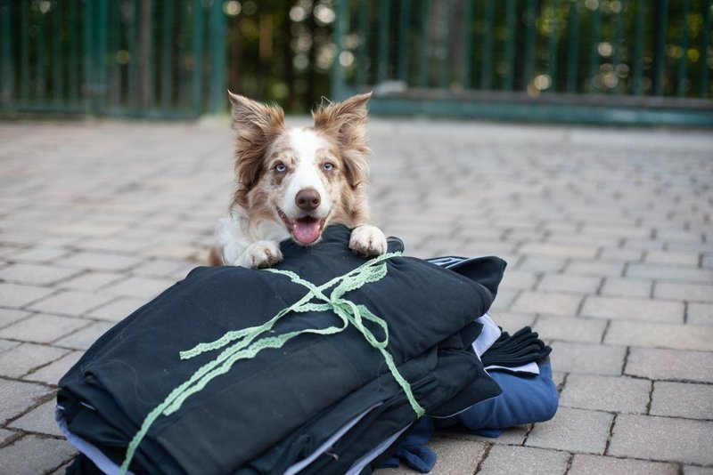 Poteza tega trgovca vas bo očarala