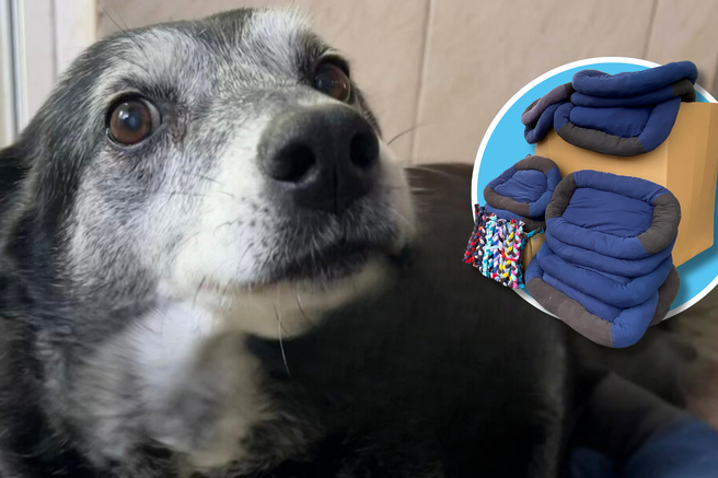 Poteza tega trgovca vas bo očarala