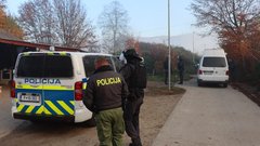 preiskava, Romi, orožje