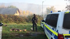 preiskava, Romi, orožje