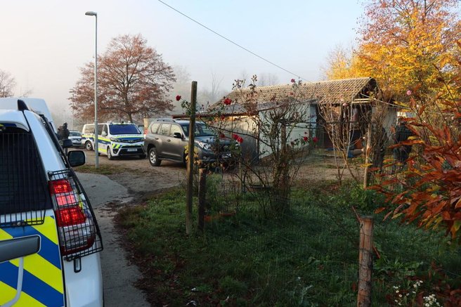 preiskava, Romi, orožje