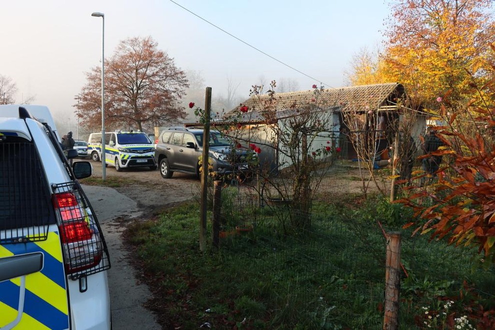 preiskava, Romi, orožje