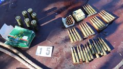 preiskava, Romi, orožje