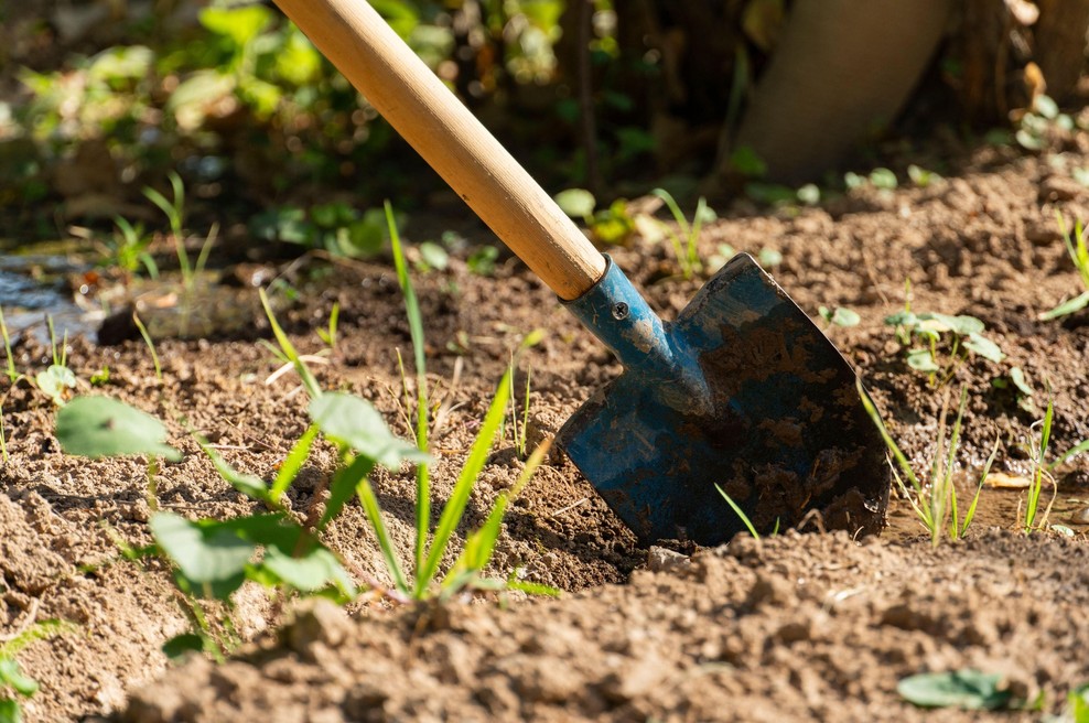 Moški kupil hišo, prekopal vrt in naletel na plastične vreče: ko jih je odprl, mu je vzelo sapo (foto: Profimedia)