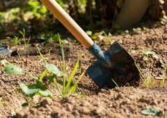 Moški kupil hišo, prekopal vrt in naletel na plastične vreče: ko jih je odprl, mu je vzelo sapo