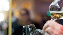 Pubec 2025 8. Salon štajerskih mladih vin