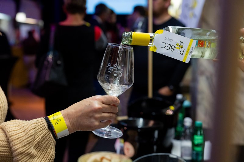 Pubec 2025 8. Salon štajerskih mladih vin