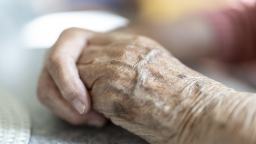 Pri sosedih našteli rekordno število stoletnikov: njihovo število se je v zadnjih letih zelo povečalo