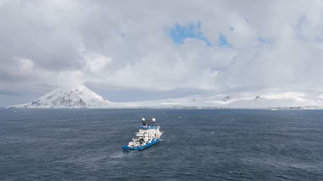 ocean morje spužvasto bitje mesojedo znanstveniki znanost raziskave