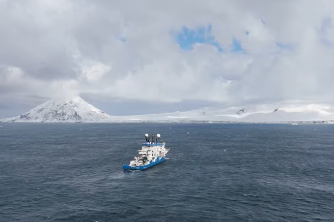 ocean morje spužvasto bitje mesojedo znanstveniki znanost raziskave