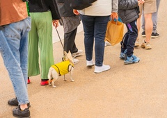 "Pa kaj so naredili s tem?!" se hudujejo kupci priljubljenega izdelka, ki se družno strinjajo o tem dejstvu (in so res nejevoljni)
