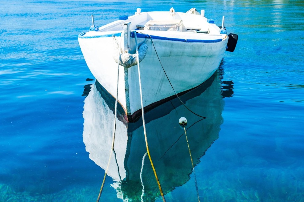V Jadranu pod gladino plava nekaj zloveščega: obupani ribiči se držijo za glave in kričijo, da nikdar ni bilo slabše (foto: Profimedia)