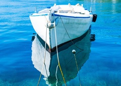 V Jadranu pod gladino plava nekaj zloveščega: obupani ribiči se držijo za glave in kričijo, da nikdar ni bilo slabše