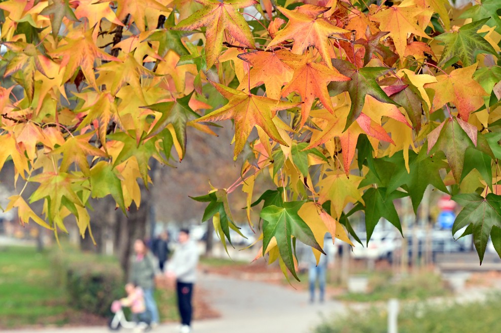 Pred nami vremensko prijaznejša druga polovica tedna: Arso napovedal, kaj nas čaka (foto: Žiga Živulović jr./Bobo)